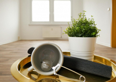 Attraktive 2-Raumwohnung sucht neuen Mieter