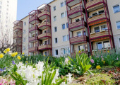 Erstbezug nach Sanierung - ideal mit Kind